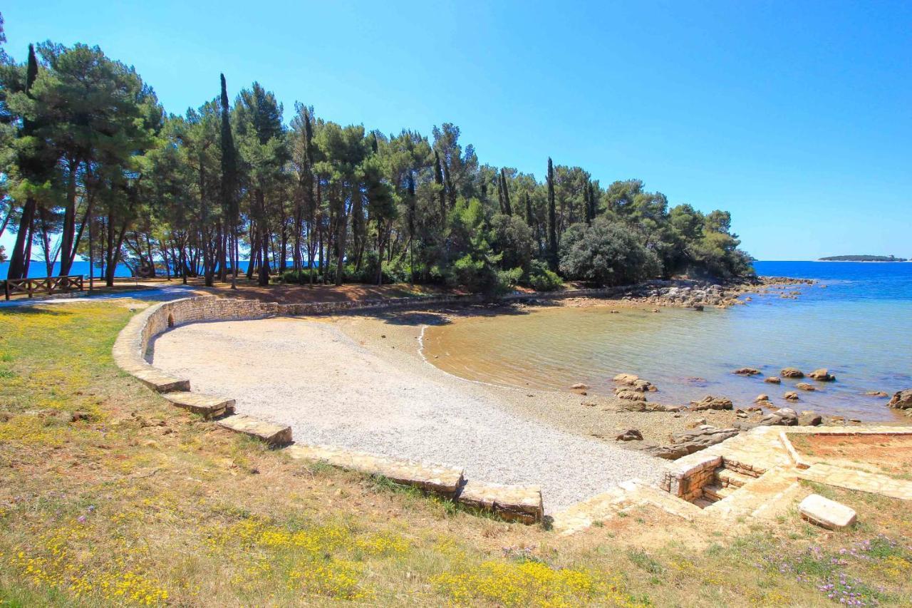 Vila Una With Private Pool Near Rovinj - Open 2022 Rovinjsko Selo Eksteriør bilde