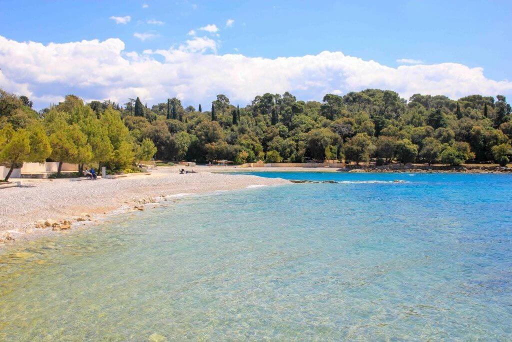 Vila Una With Private Pool Near Rovinj - Open 2022 Rovinjsko Selo Eksteriør bilde